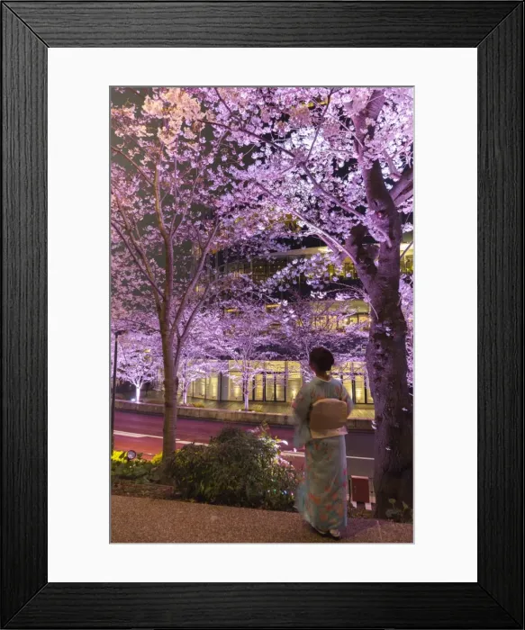 Framed Print : Japan, Tokyo, Roppongi District, Cherry trees illuminated at night at Midtown Tokyo Framed Print : Japan, Tokyo, Roppongi District, Cherry trees illuminated at night at Midtown Tokyo