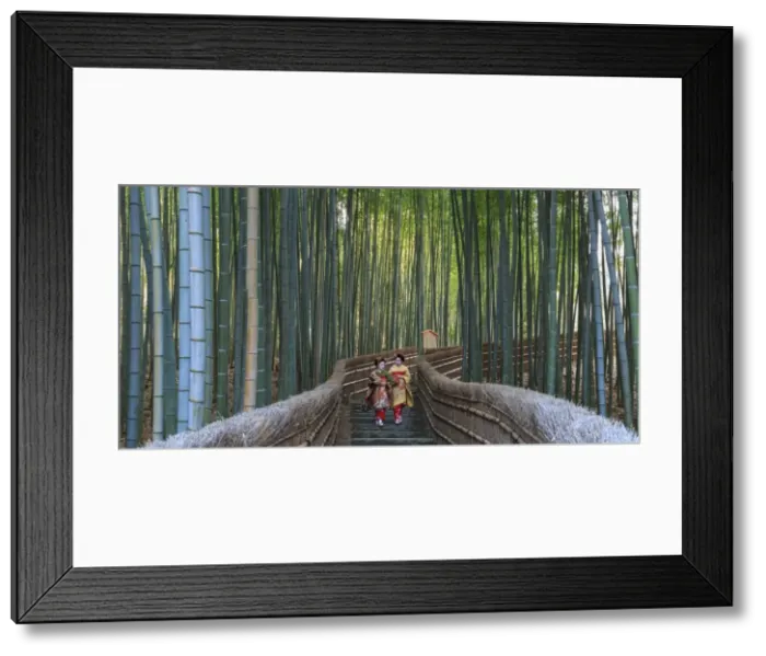 Framed Print : Japan, Kyoto, Arashiyama, Adashino Nembutsu-ji Temple, Bamboo Forest Framed Print : Japan, Kyoto, Arashiyama, Adashino Nembutsu-ji Temple, Bamboo Forest