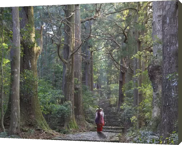 Japan, Wakayama Prefecture, Kumano Kodo Pilgrimage Trail (UNESCO Site), Japanese