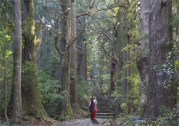 Japan, Wakayama Prefecture, Kumano Kodo Pilgrimage Trail (UNESCO Site), Japanese