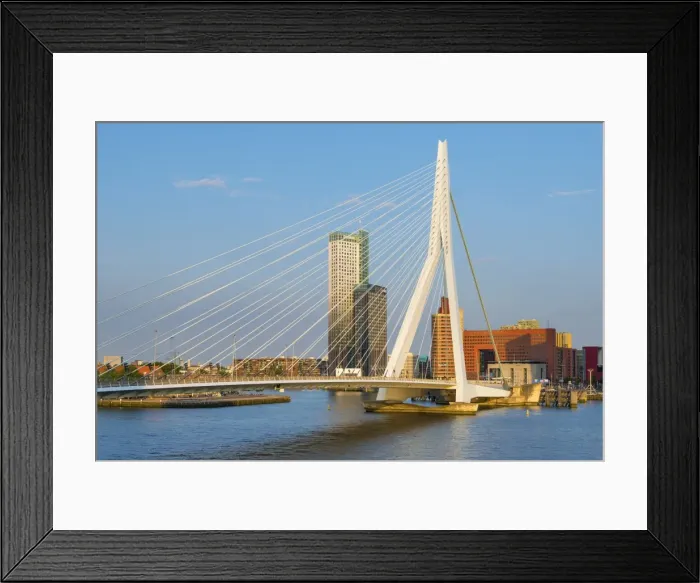 Framed Print : Netherlands, South Holland, Rotterdam, Erasmusbrug, Erasmus Bridge Framed Print : Netherlands, South Holland, Rotterdam, Erasmusbrug, Erasmus Bridge