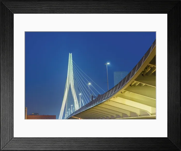 Framed Print : Netherlands, South Holland, Rotterdam, Erasmusbrug, Erasmus Bridge