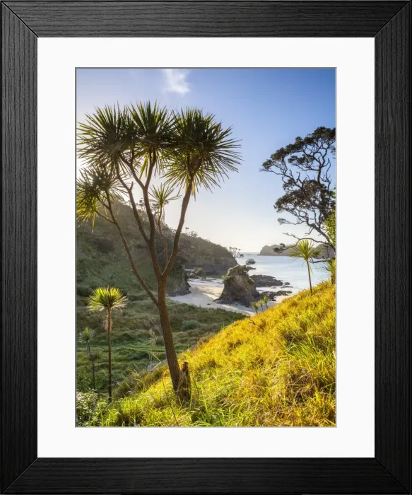 Framed Print : Matapouri Beach, Matapouri, Tutukaka Coast, Northland, North Island, New Zealand Framed Print : Matapouri Beach, Matapouri, Tutukaka Coast, Northland, North Island, New Zealand