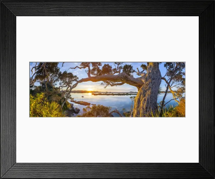 Framed Print : Ngunguru Sunrise, Tutukaka Coast, Whangarei, Northland, North Island, New Zealand Framed Print : Ngunguru Sunrise, Tutukaka Coast, Whangarei, Northland, North Island, New Zealand