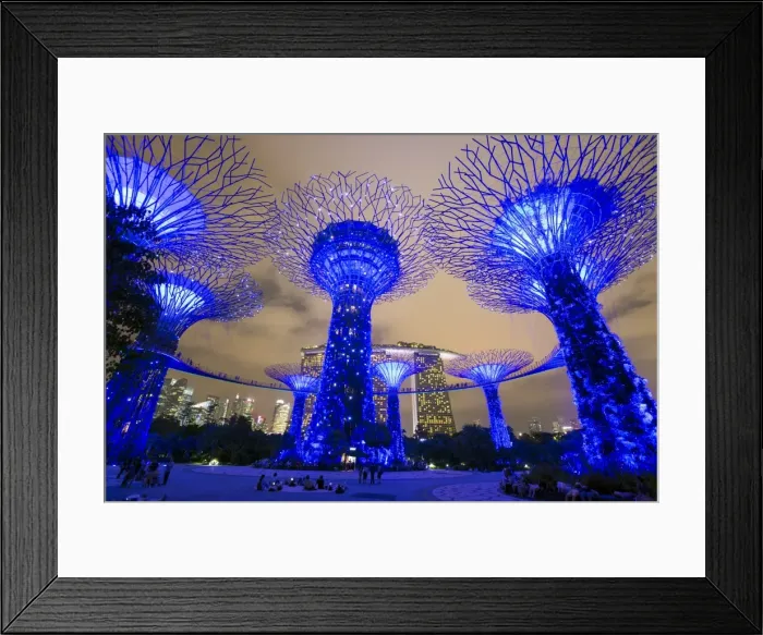 Framed Print : Supertrees at Gardens by the Bay, illuminated at night, Singapore, Southeast Asia Framed Print : Supertrees at Gardens by the Bay, illuminated at night, Singapore, Southeast Asia