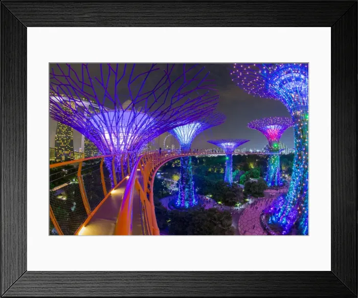 Framed Print : Supertrees at Gardens by the Bay, illuminated at night, Singapore, Southeast Asia Framed Print : Supertrees at Gardens by the Bay, illuminated at night, Singapore, Southeast Asia