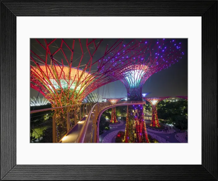 Framed Print : Supertrees at Gardens by the Bay, illuminated at night, Singapore, Southeast Asia Framed Print : Supertrees at Gardens by the Bay, illuminated at night, Singapore, Southeast Asia