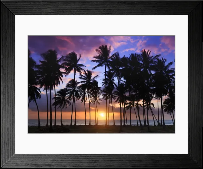 Framed Print : Tanzania. Zanzibar, Jambiani, Jambani Beach and Coconut Plantation Framed Print : Tanzania. Zanzibar, Jambiani, Jambani Beach and Coconut Plantation