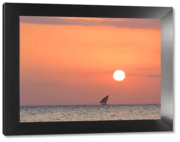 Tanzania. Zanzibar, Stone Town, Old Town, Dhow (traditional sailboat) sailing at sunset