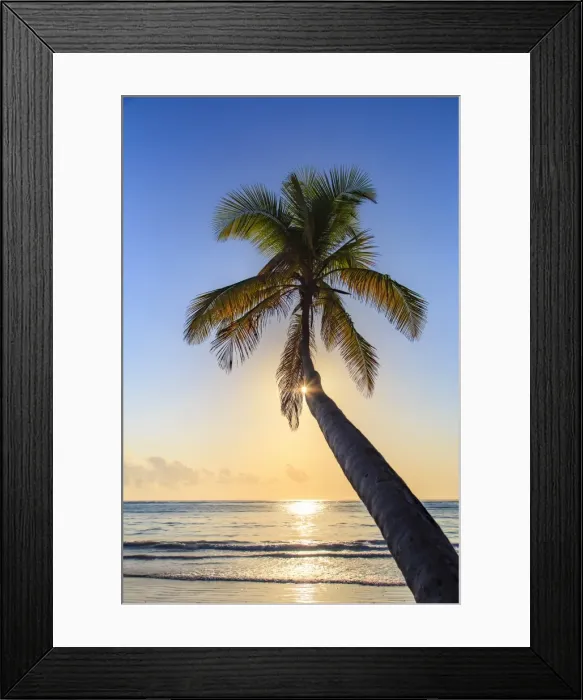 Framed Print : Tanzania. Zanzibar, Matemwe, Beach at dawn Framed Print : Tanzania. Zanzibar, Matemwe, Beach at dawn