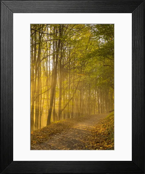 Framed Print : North Downs Way, Dorking, Surrey, England Framed Print : North Downs Way, Dorking, Surrey, England