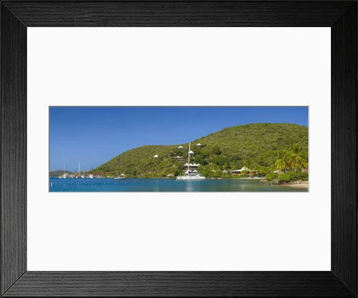 Framed Print : British Virgin Islands, Virgin Gorda, The Bitter End, Bitter End Yacht Club, hillside Framed Print : British Virgin Islands, Virgin Gorda, The Bitter End, Bitter End Yacht Club, hillside
