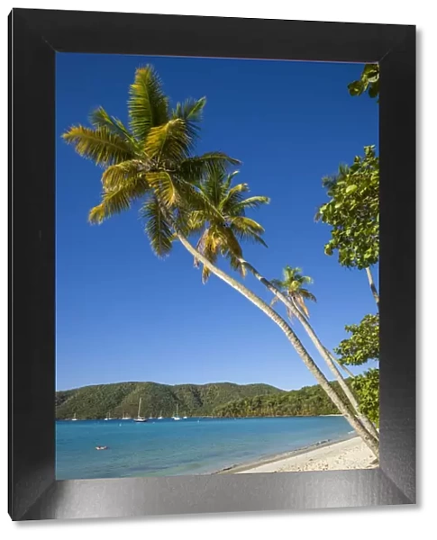 U. S. Virgin Islands, St. John, Trunk Bay, Trunk Bay Beach