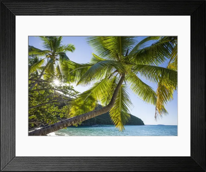 Framed Print : U. S. Virgin Islands, St. John, Trunk Bay, Trunk Bay Beach Framed Print : U. S. Virgin Islands, St. John, Trunk Bay, Trunk Bay Beach