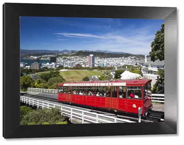 New Zealand, North Island, Wellington, Wellington Cable Car, Wellington Botanic Gardens