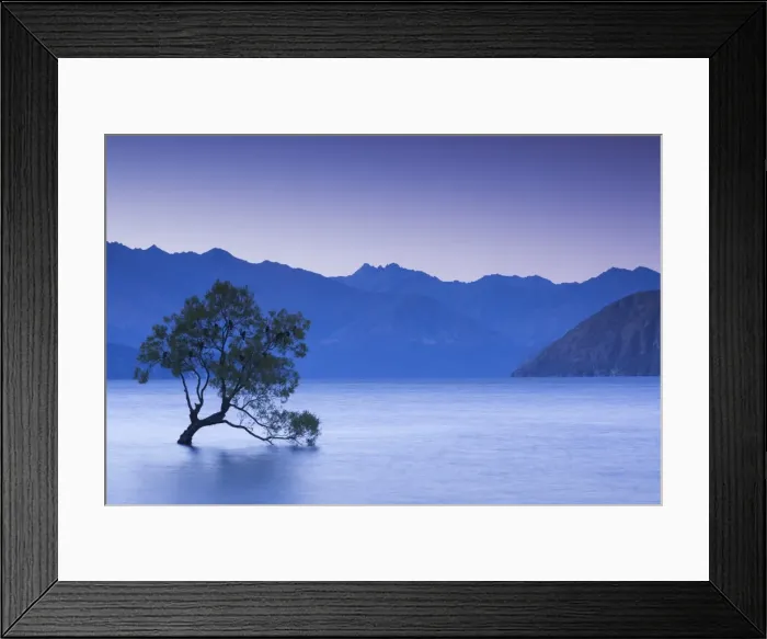 Framed Print : New Zealand, South Island, Otago, Wanaka, Lake Wanaka, solitary tree, dusk Framed Print : New Zealand, South Island, Otago, Wanaka, Lake Wanaka, solitary tree, dusk