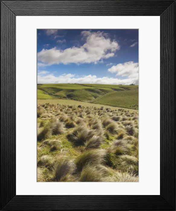 Framed Print : New Zealand, South Island, Southland, The Catlins, Slope Point, Southern-most point Framed Print : New Zealand, South Island, Southland, The Catlins, Slope Point, Southern-most point