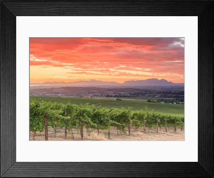 Framed Print : South Africa, Western Cape, Stellenbosch, Hidden Valley Wine Estate Framed Print : South Africa, Western Cape, Stellenbosch, Hidden Valley Wine Estate