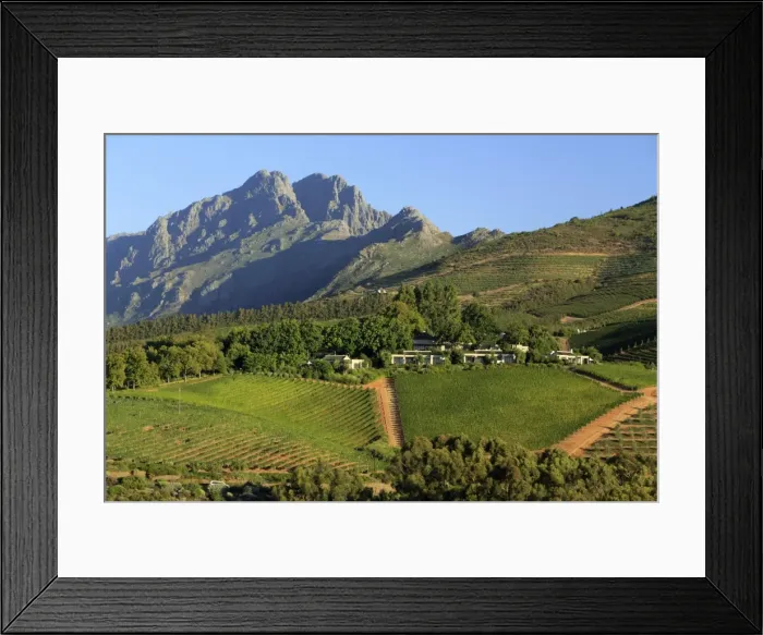 Framed Print : South Africa, Western Cape, Stellenbosch, Tokara Wine Estate Framed Print : South Africa, Western Cape, Stellenbosch, Tokara Wine Estate