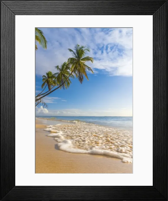 Framed Print : Caribbean, Trinidad and Tobago, Tobago, Pigeon Point Framed Print : Caribbean, Trinidad and Tobago, Tobago, Pigeon Point