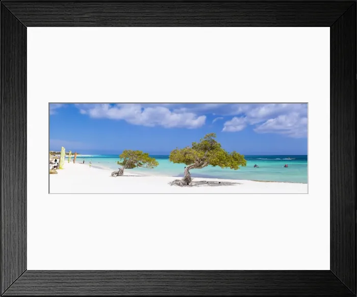 Framed Print : Caribbean, Netherland Antilles, Aruba, Divi Divi Trees on Eagle Beach Framed Print : Caribbean, Netherland Antilles, Aruba, Divi Divi Trees on Eagle Beach