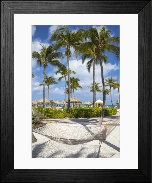 Framed Print : Caribbean, Netherland Antilles, Aruba, Hammock on Palm beach Framed Print : Caribbean, Netherland Antilles, Aruba, Hammock on Palm beach