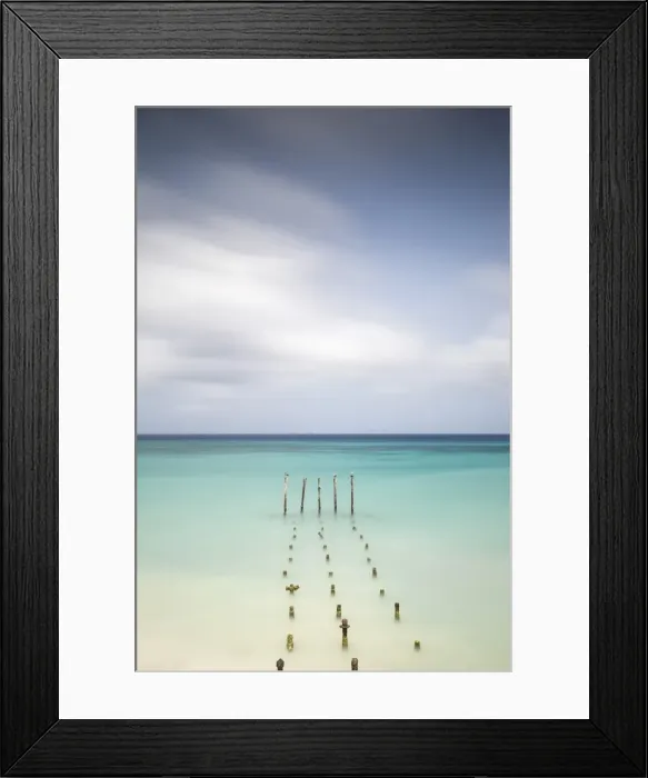 Framed Print : Caribbean, Netherland Antilles, Aruba, Divi beach, Pelicans on wooden posts Framed Print : Caribbean, Netherland Antilles, Aruba, Divi beach, Pelicans on wooden posts