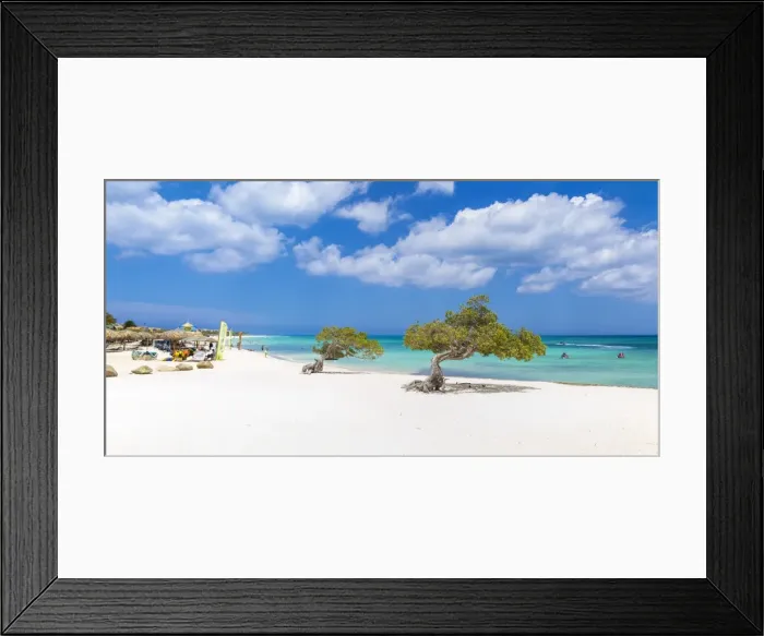 Framed Print : Caribbean, Netherland Antilles, Aruba, Divi Divi Trees on Eagle Beach Framed Print : Caribbean, Netherland Antilles, Aruba, Divi Divi Trees on Eagle Beach