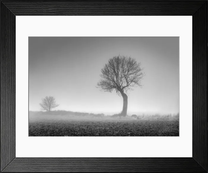 Framed Print : UK, England, Norfolk, Foggy Winter Field Framed Print : UK, England, Norfolk, Foggy Winter Field