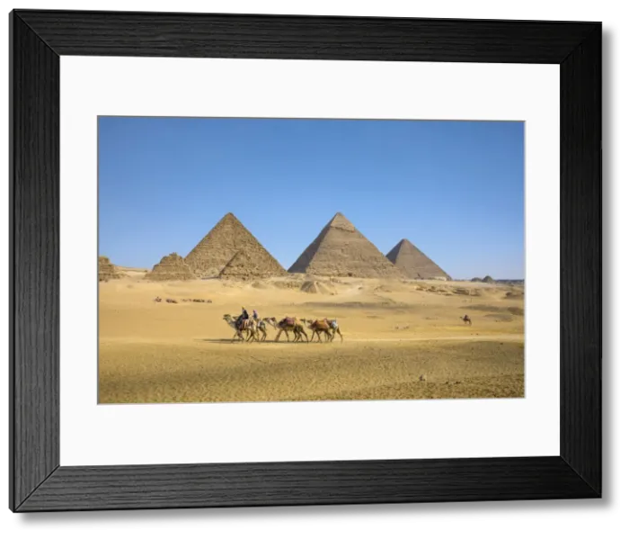 Framed Print : Pyramids of Giza, Giza, Cairo, Egypt