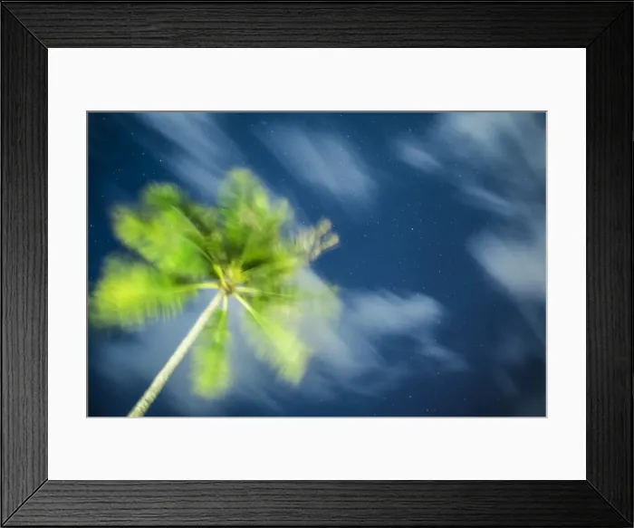 Framed Print : Palm tree and starry sky, Koh Samui, Thailand Framed Print : Palm tree and starry sky, Koh Samui, Thailand