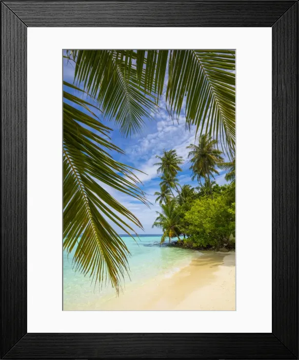 Framed Print : Beach on a tropical island in the South Male Atoll, Maldives Framed Print : Beach on a tropical island in the South Male Atoll, Maldives