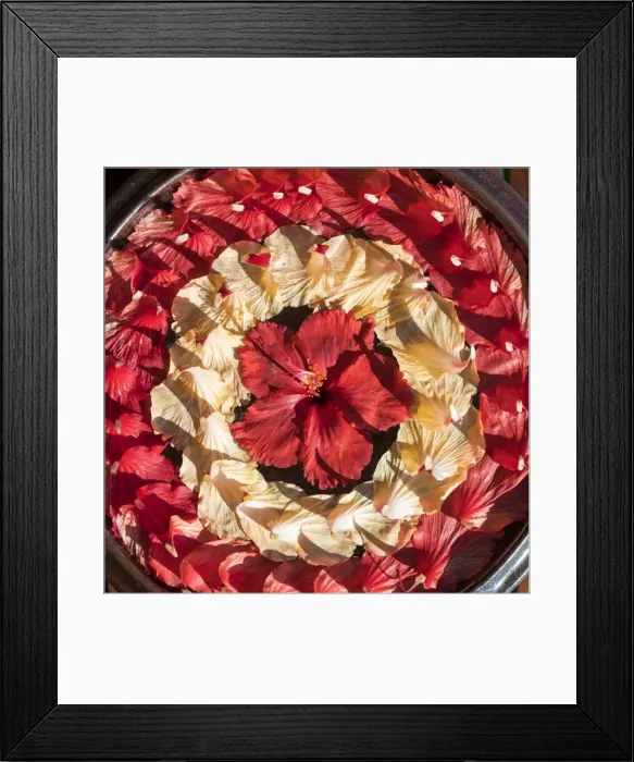 Framed Print : Overwater Spa, Anantara Dhigu resort, South Male Atoll, Maldives Framed Print : Overwater Spa, Anantara Dhigu resort, South Male Atoll, Maldives