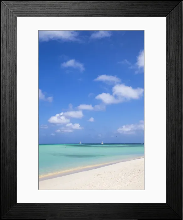 Framed Print : Caribbean, Netherland Antilles, Aruba, Palm beach Framed Print : Caribbean, Netherland Antilles, Aruba, Palm beach