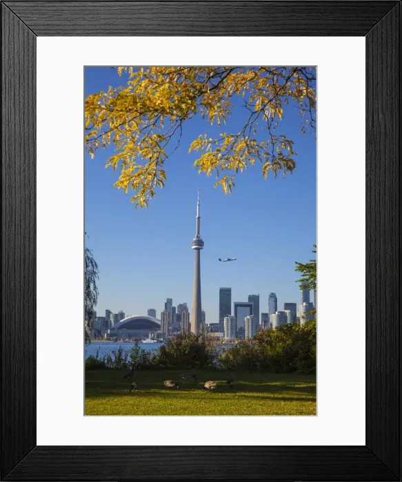 Framed Print : Canada, Ontario, Toronto, View of CN Tower and city skyline from Center Island