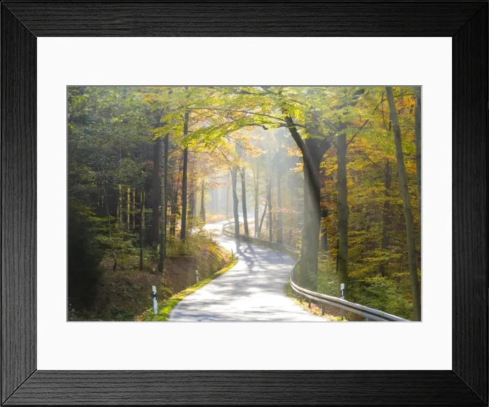Framed Print : Road through autumn woodland, Saxon Switzerland, Saxony, Germany Framed Print : Road through autumn woodland, Saxon Switzerland, Saxony, Germany