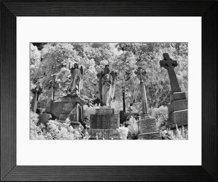 Framed Print : Infrared image of the graves in Highgate Cemetery, London, UK