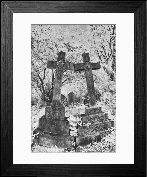 Framed Print : Infrared image of the graves in Highgate Cemetery, London, UK Framed Print : Infrared image of the graves in Highgate Cemetery, London, UK