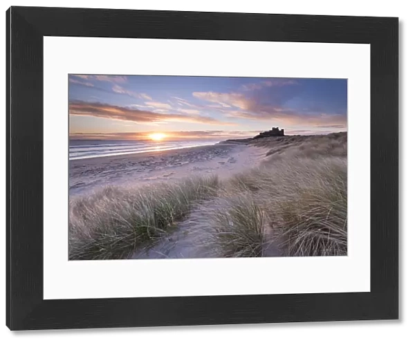 Sunrise over Bamburgh Beach and Castle from the sand dunes, Northumberland, England