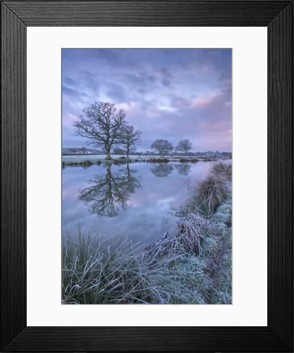 Framed Print : Frosty winter morning beside a rural pond, Morchard Road, Devon, England. Winter