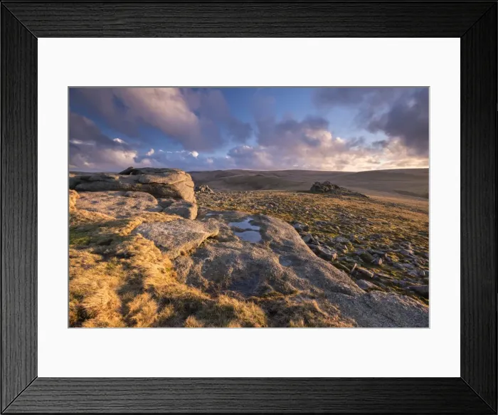 Framed Print : Rich evening sunlight bathes the moorland at Higher Tor in Dartmoor National Park, Devon, England Framed Print : Rich evening sunlight bathes the moorland at Higher Tor in Dartmoor National Park, Devon, England