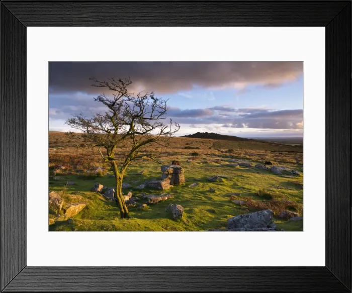 Framed Print : Looking to Pew Tor from Feather Tor, Dartmoor, Devon, England. Autumn (September) Framed Print : Looking to Pew Tor from Feather Tor, Dartmoor, Devon, England. Autumn (September)