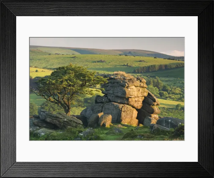 Framed Print : Dartmoor moorland and countryside in summer time, Saddle Tor, Dartmoor, Devon, England Framed Print : Dartmoor moorland and countryside in summer time, Saddle Tor, Dartmoor, Devon, England