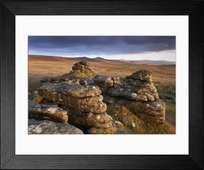 Framed Print : Evening sunlight on Arms Tor, looking towards Chat Tor and Hare Tor, Dartmoor, Devon, England Framed Print : Evening sunlight on Arms Tor, looking towards Chat Tor and Hare Tor, Dartmoor, Devon, England