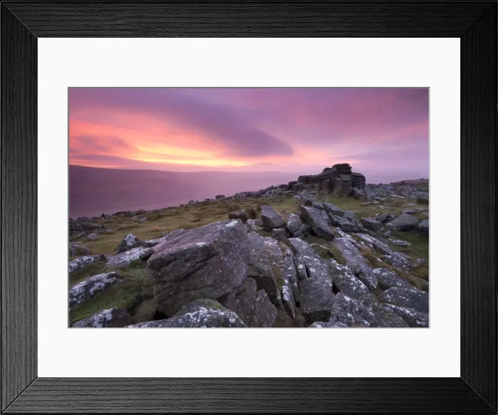 Framed Print : Spectacular pink sunrise above Belstone Tor, Dartmoor, Devon, England. Winter Framed Print : Spectacular pink sunrise above Belstone Tor, Dartmoor, Devon, England. Winter
