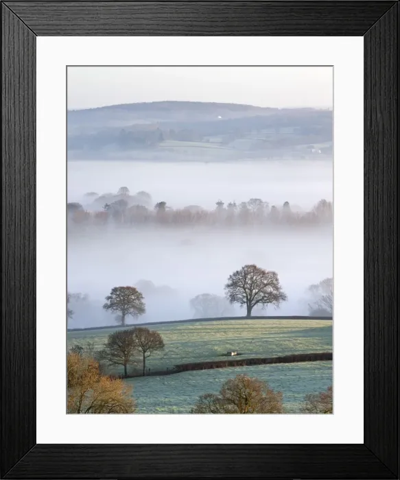 Framed Print : Mist covered countryside in the Exe Valley just north of Exeter, Devon, England. Winter Framed Print : Mist covered countryside in the Exe Valley just north of Exeter, Devon, England. Winter