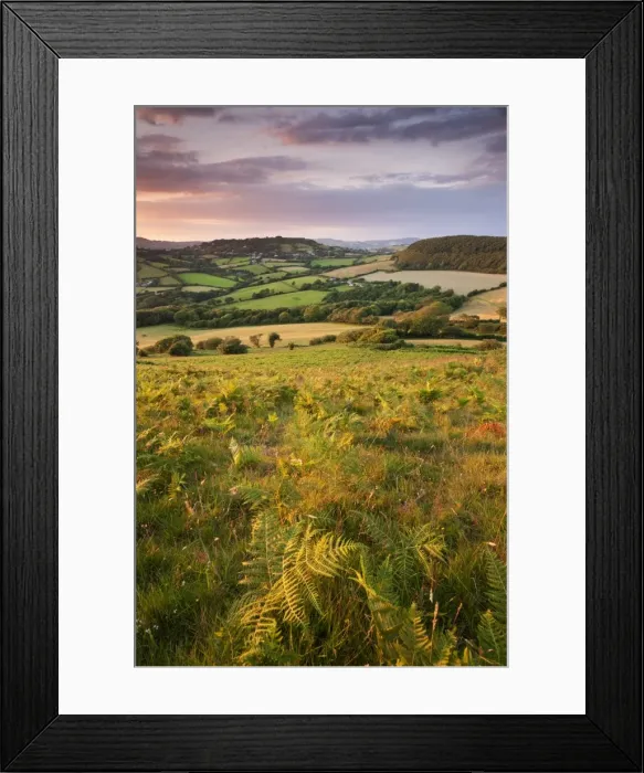Framed Print : Rolling Dorset countryside viewed from Golden Cap, Dorset, England. Summer Framed Print : Rolling Dorset countryside viewed from Golden Cap, Dorset, England. Summer