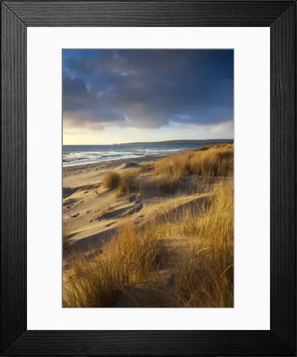 Framed Print : Studland Beach with views to Old Harry Rocks, Dorset, England. Winter Framed Print : Studland Beach with views to Old Harry Rocks, Dorset, England. Winter