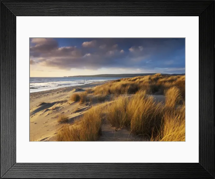Framed Print : Windswept sand dunes on the beach at Studland Bay, with views towards Old Harry Rocks Framed Print : Windswept sand dunes on the beach at Studland Bay, with views towards Old Harry Rocks