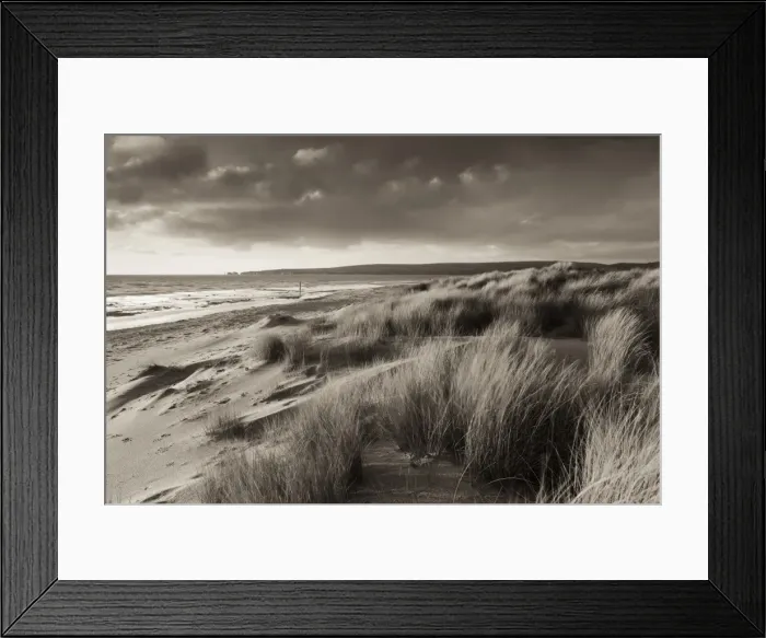 Framed Print : Windswept sand dunes on the beach at Studland Bay, with views towards Old Harry Rocks Framed Print : Windswept sand dunes on the beach at Studland Bay, with views towards Old Harry Rocks